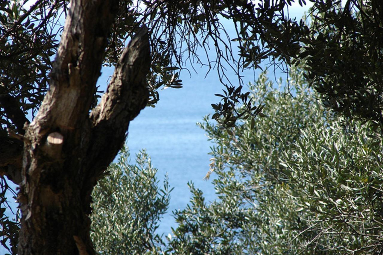 Luxury Bonbon Next To Banje Beach And Old Town, Great Location Dubrovnik Kültér fotó